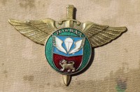 b13gs.jpg (34386 bytes)